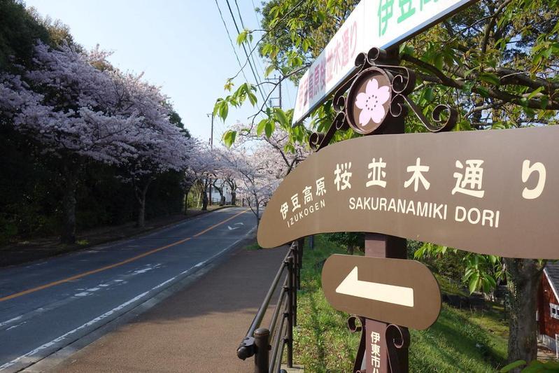 伊豆高原 温泉付別荘 Isana Mountain Villa Futo Екстериор снимка